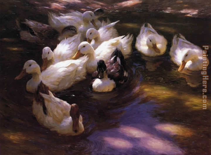 Eleven Ducks in the Morning Sun painting - Alexander Koester Eleven Ducks in the Morning Sun art painting